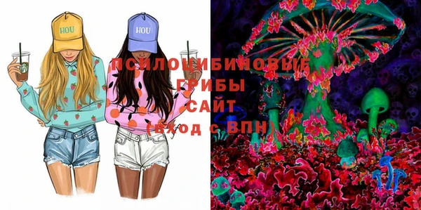марки lsd Дмитриев