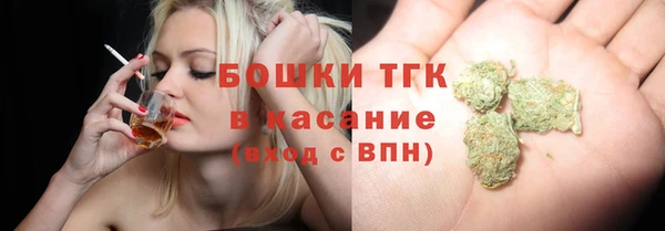 гашик Инсар