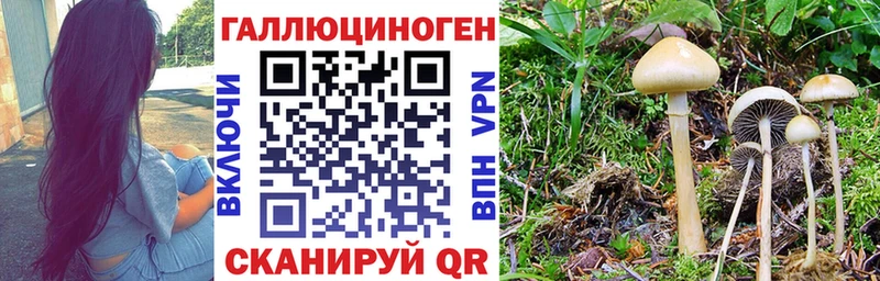 Купить где  Куйбышев  Галлюциногенные грибы мицелий 